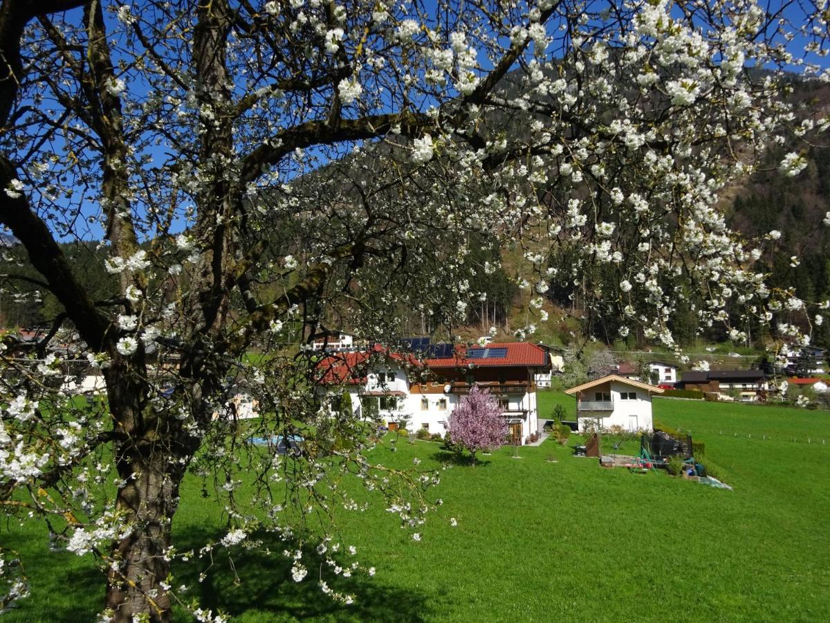 Landhaus Alpenblick Визинг Экстерьер фото
